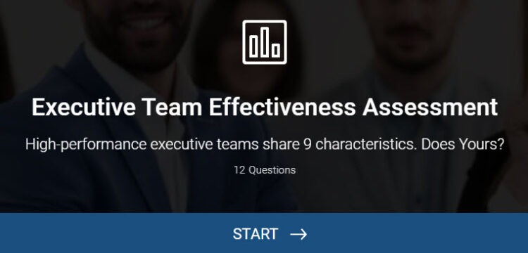 executive team effectiveness assessment